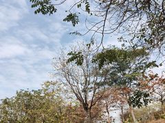 -中国移动南方基地