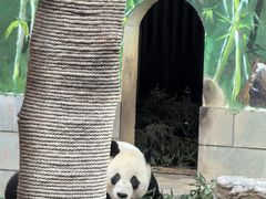 -南昌动物园