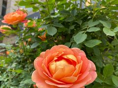 -无界眼镜MaxLess(滨江星光大道店)