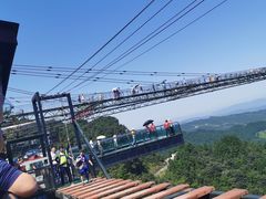 -梦幻奥陶纪景区