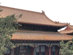 -颐和园