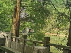 -四明山国家森林公园