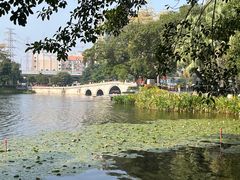 -荔湾湖公园