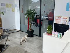 -良伴无忧宠物医院(泰欣嘉园店)