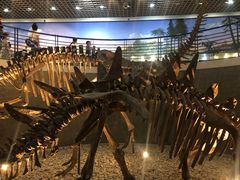 -国家自然博物馆