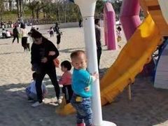 -九龙湖公园