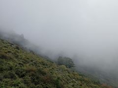 -灵山