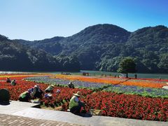 -广州市石门国家森林公园