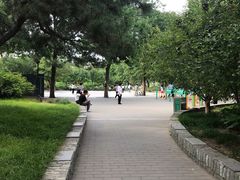 -丰台花园