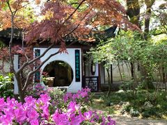 -上海醉白池公园