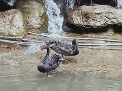 -东部华侨城
