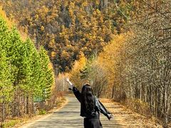 -莫尔道嘎国家森林公园