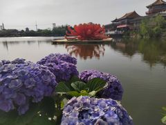 -翰园碑林