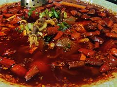 -青城甲(青城山店)