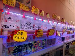 -中环花鸟鱼虫市场
