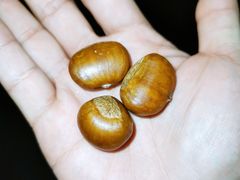 -阿男野栗王(金门路店)