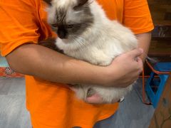 -汤姆宠物(长青北路店)