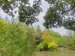 -上海滨江森林公园