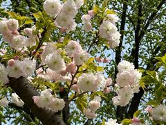 -玄武湖景区-情侣园游乐场