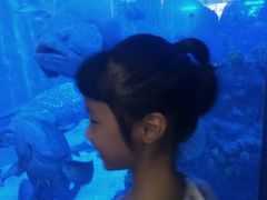 -成都浩海立方海洋公园