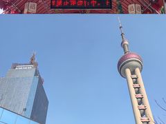 -上海大自然野生昆虫馆(东方明珠·爬宠昆虫探索中心)