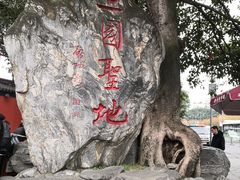 -芙蓉门·川剧变脸长嘴壶茶艺茶文化表演研学