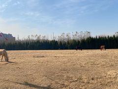 -汉长安城未央宫国家考古遗址公园