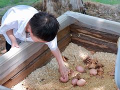 -HERRE·FARM 赫尔露营农场·团建聚会包场