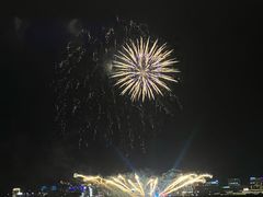 -春花秋色城市公园