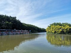 -大湾区中央湿地公园