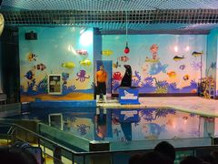 -太平洋海底世界