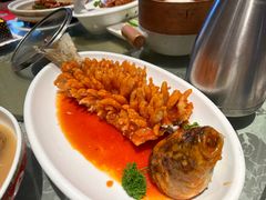 松鼠桂鱼-丽华园(青少年宫店)