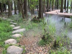 -东湖落雁景区