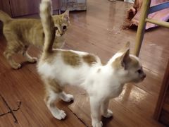 -螺大蛳柳州螺蛳粉·火锅·热干面(西城永捷店)