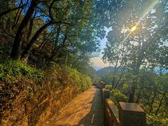 -杭州半山国家森林公园