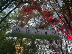 -天目湖山水园