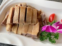-云中小雅