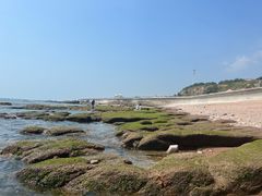 -青岛海景花园大酒店