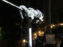 -清迈夜间动物园