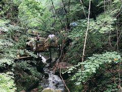 -本溪汤沟绿石谷森林公园