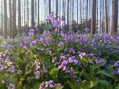 -上海交通大学闵行校区-包玉刚图书馆