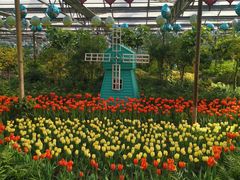 -南宫五洲植物乐园