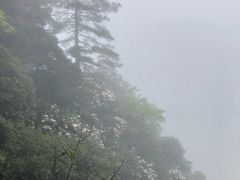 -井冈山风景名胜区