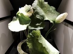 -茶叁酒肆·楚味江湖(菱角湖店)