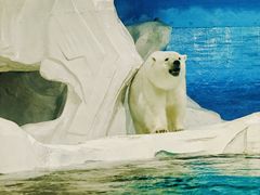 -海合安天津极地海洋公园