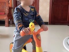 -稚马儿童平衡车自行车俱乐部