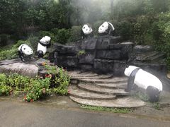 -都江堰中华大熊猫苑