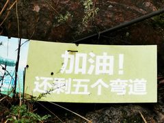 -温州永嘉书院
