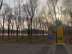 -东郊湿地公园