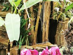 -南通洲际绿博园